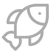 Fresh Fish